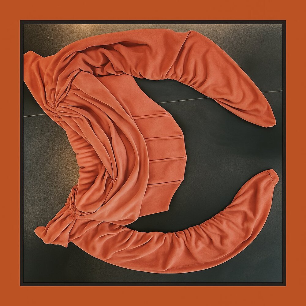 - ✨ Statement Style – Rust Orange Long Sleeve Top  Cropped Fit